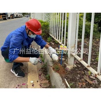 萝岗红火蚁防治工程