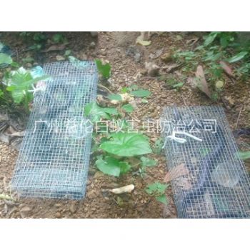 黄埔上门驱蛇防蛇工程