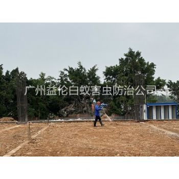 大沙地基新建预防白蚁工程
