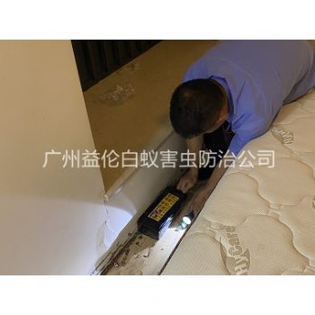 夏港家居白蚁灭治工程