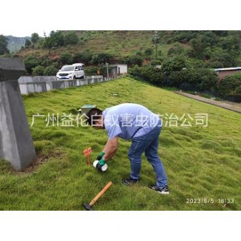 广州水利工程红火蚁防治