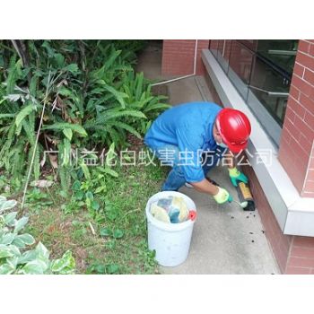 永和施药灭鼠工程