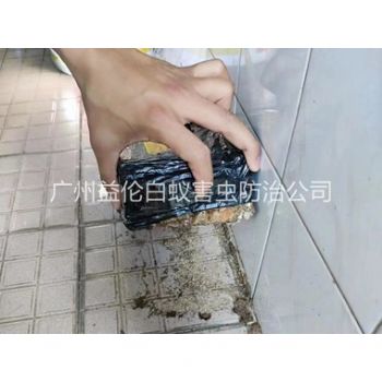 红山诱杀白蚁危害工程
