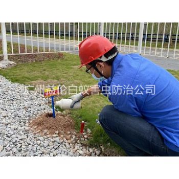 联和红火蚁防治工程