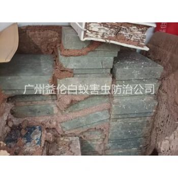 萝岗防治白蚁危害工程