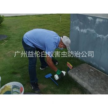 东区灭除红火蚁工程